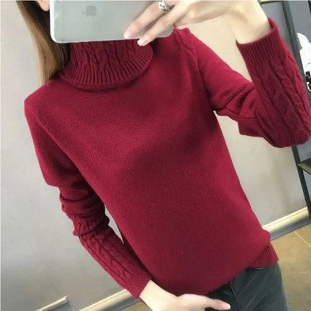 Cozy Chunky Turtleneck Knit Sweater