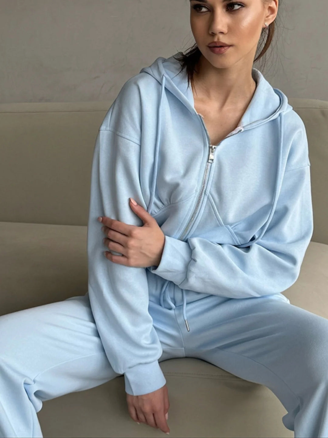 Casual Long Sleeve Hooded 2-Piece Set