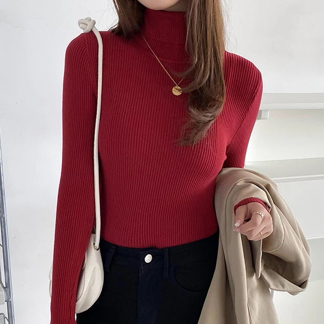 Cozy Cashmere Knit Turtleneck Sweater