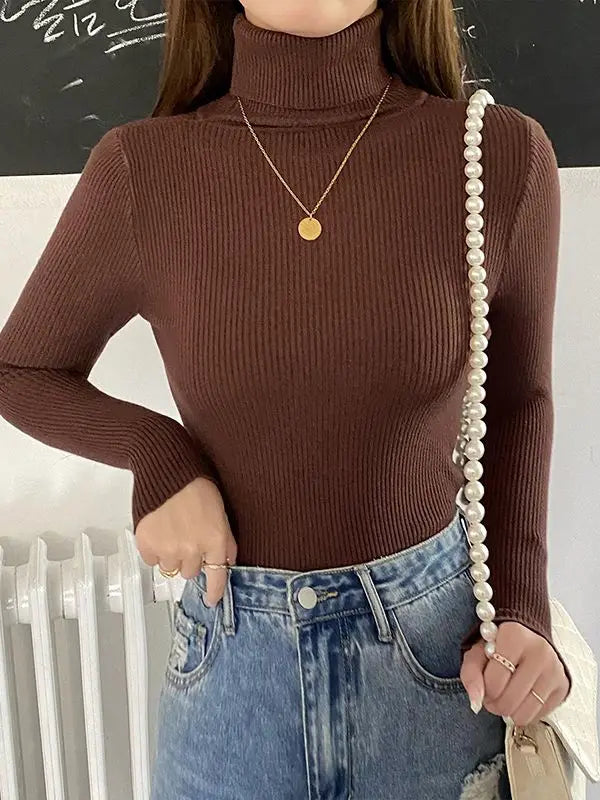 Cozy Cashmere Knit Turtleneck Sweater