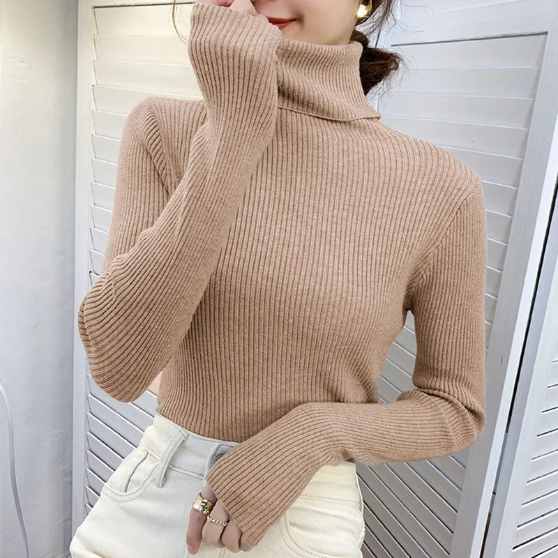 Cozy Cashmere Knit Turtleneck Sweater