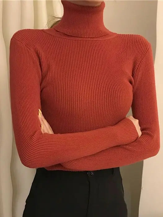 Cozy Cashmere Knit Turtleneck Sweater