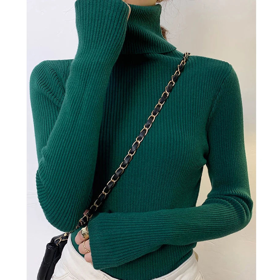 Cozy Cashmere Knit Turtleneck Sweater