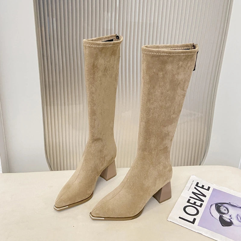 Chic Pointed Toe Suede Boots