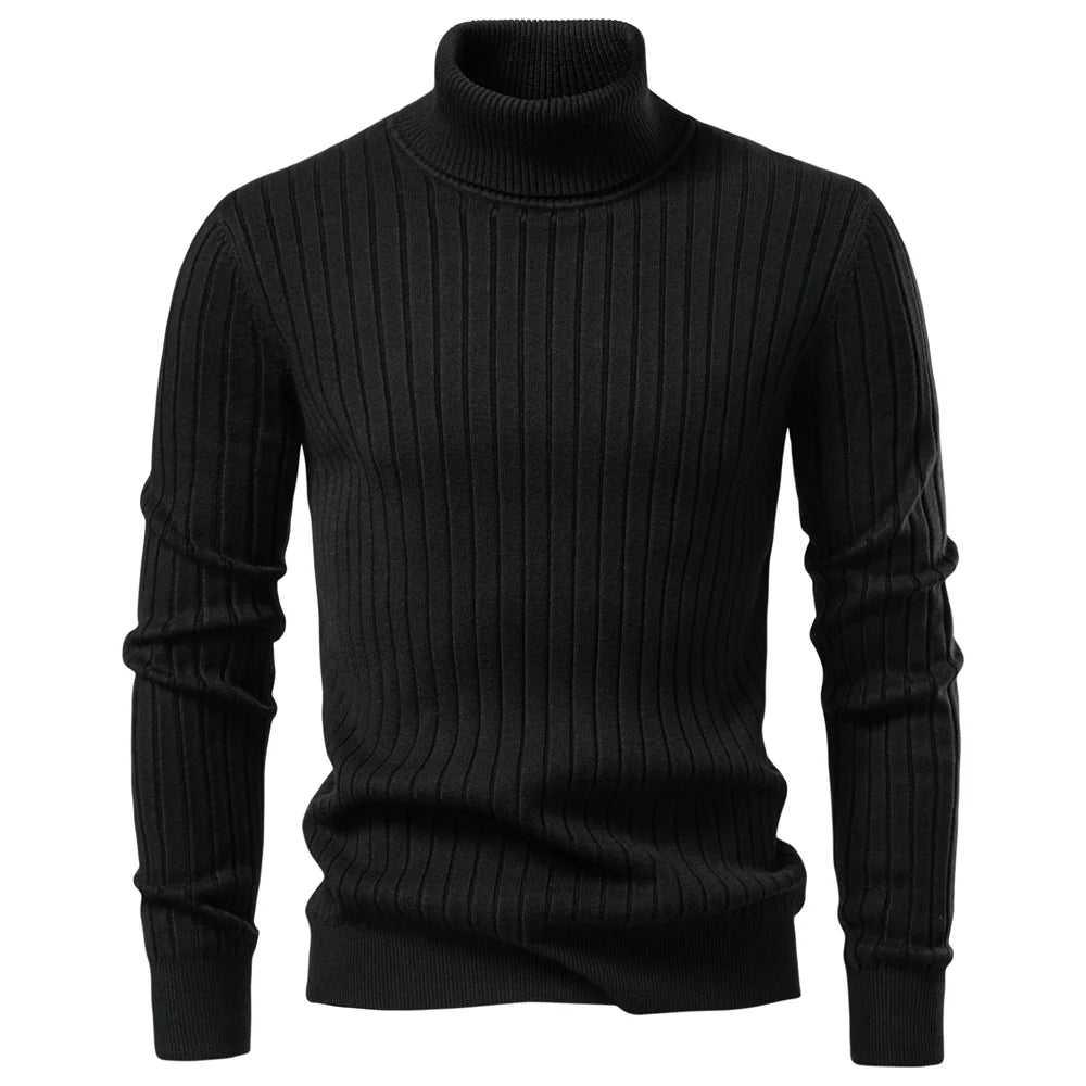 Striped Solid Color Turtleneck Sweater