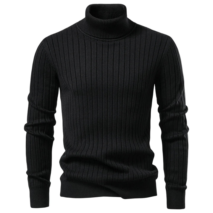 Striped Solid Color Turtleneck Sweater