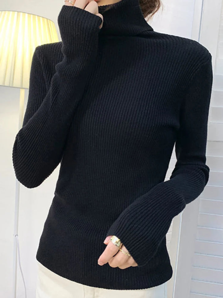 Cozy Cashmere Knit Turtleneck Sweater