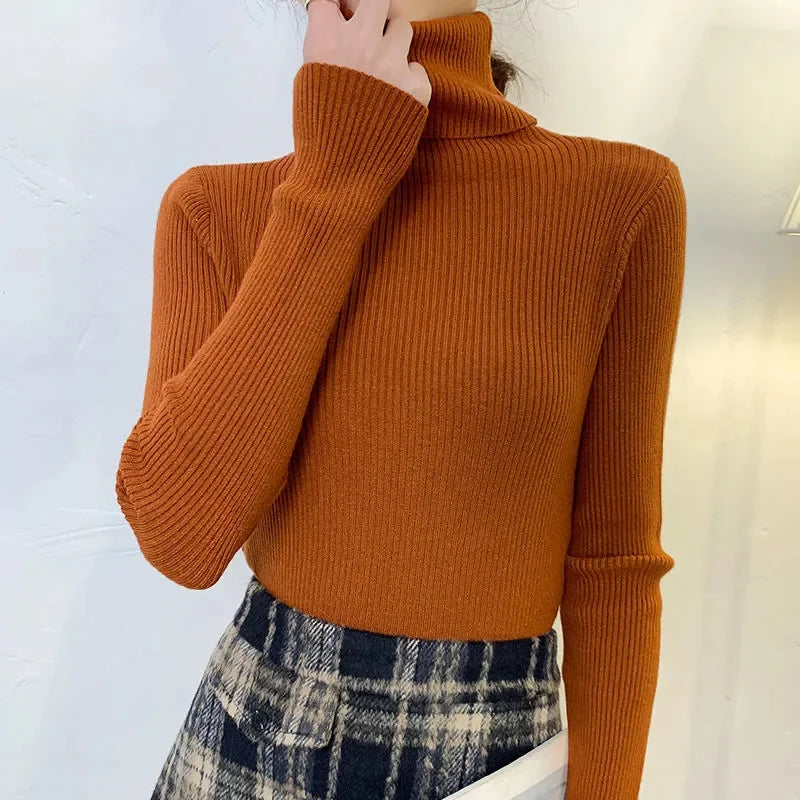 Cozy Cashmere Knit Turtleneck Sweater