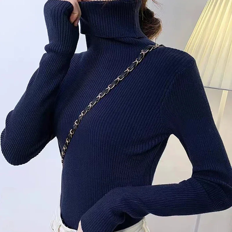 Cozy Cashmere Knit Turtleneck Sweater