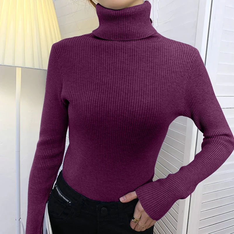 Cozy Cashmere Knit Turtleneck Sweater