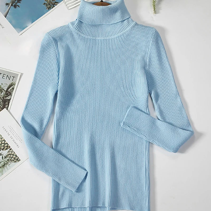 Cozy Cashmere Knit Turtleneck Sweater