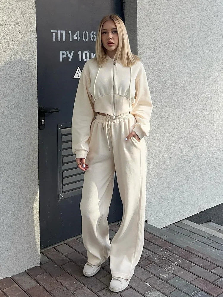 Casual Long Sleeve Hooded 2-Piece Set