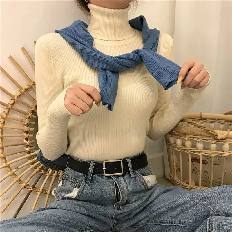 Winter Knitted Turtleneck Slim Fit Pullover