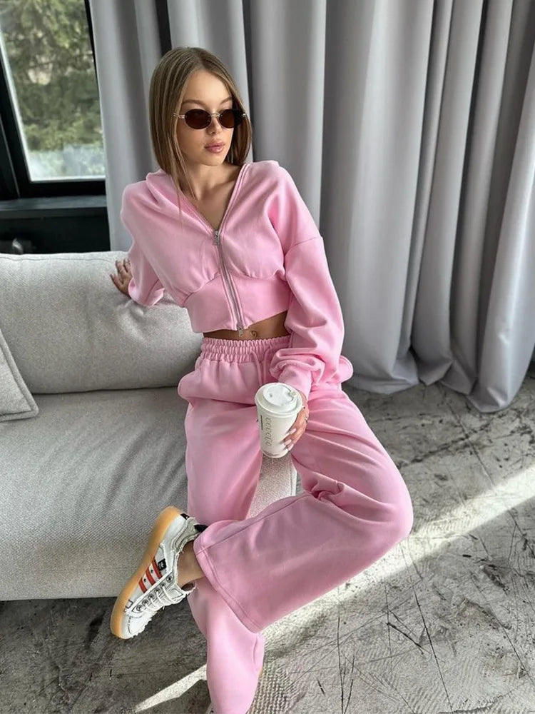 Casual Long Sleeve Hooded 2-Piece Set